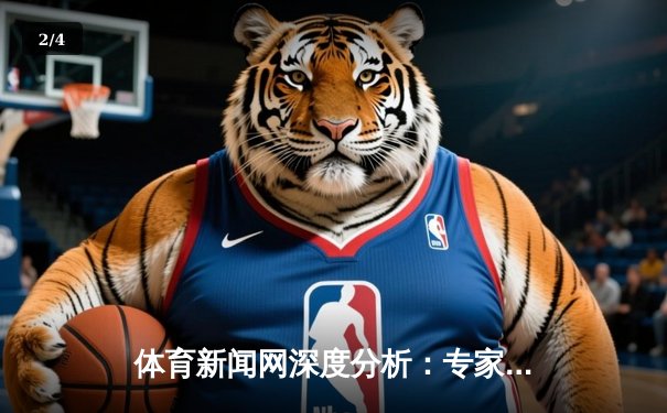 体育新闻网深度分析：专家解读 - 2